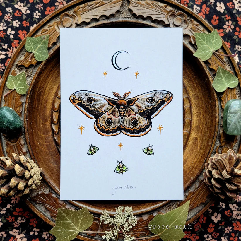 Emperor Moth - A6 Print