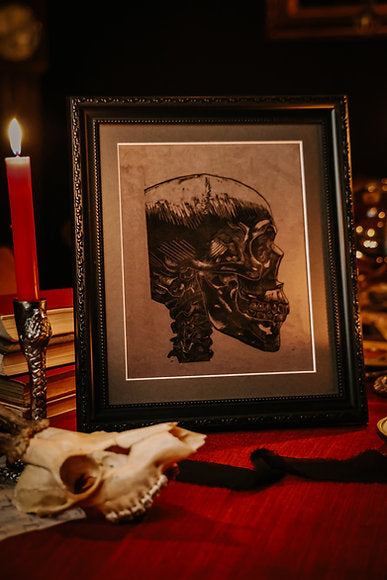 Framed velvet skull Lino Print