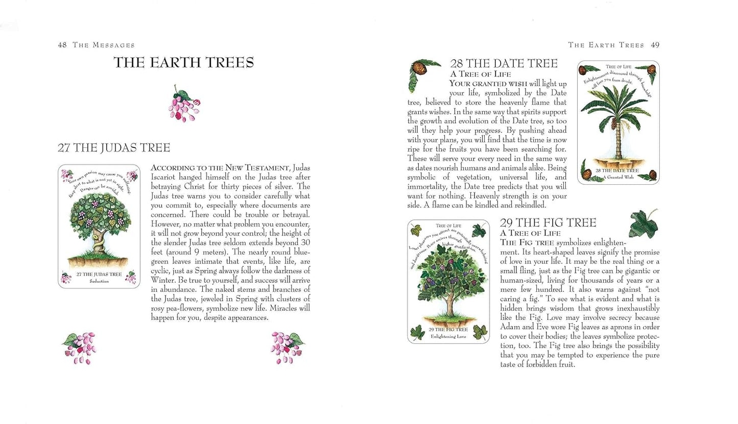 The Tree Magick Oracle Deck: Includes 52 cards & 64 Page Illustrated Book