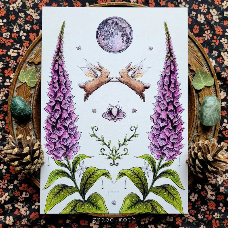Rabbit Dance - Light Foxgloves