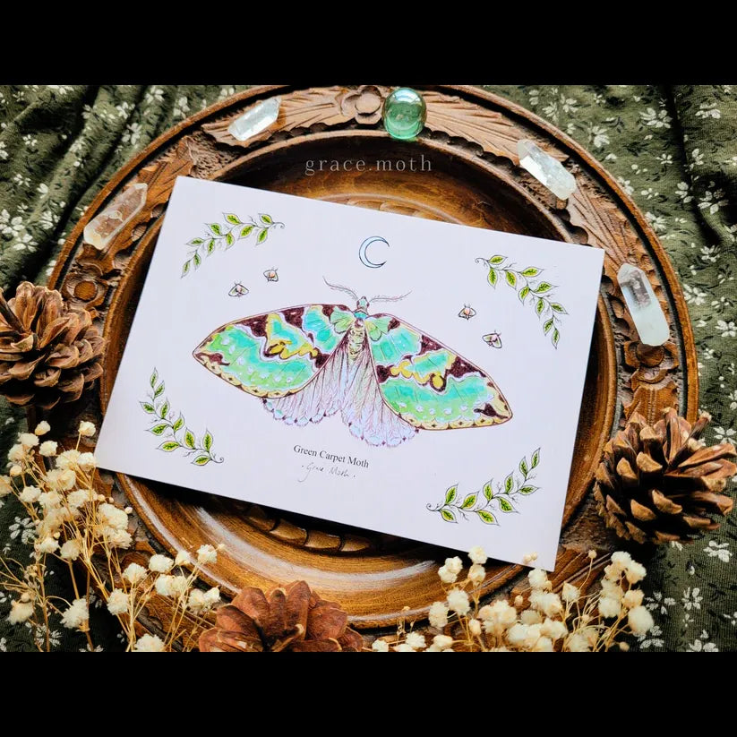 Green Carpet Moth - A6 Print