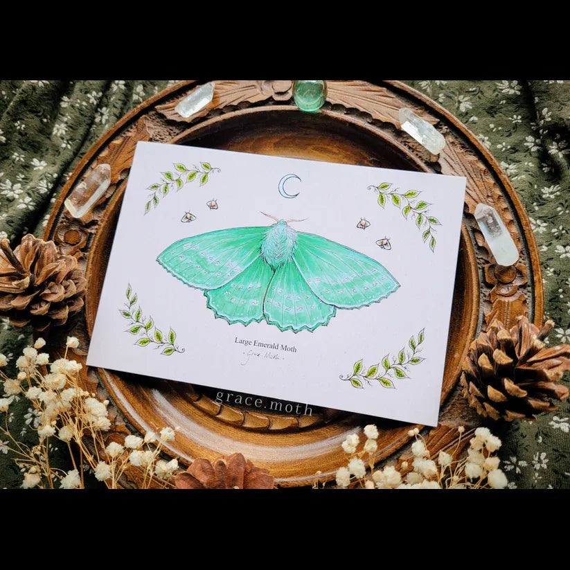 Emerald Moth - A6 Print