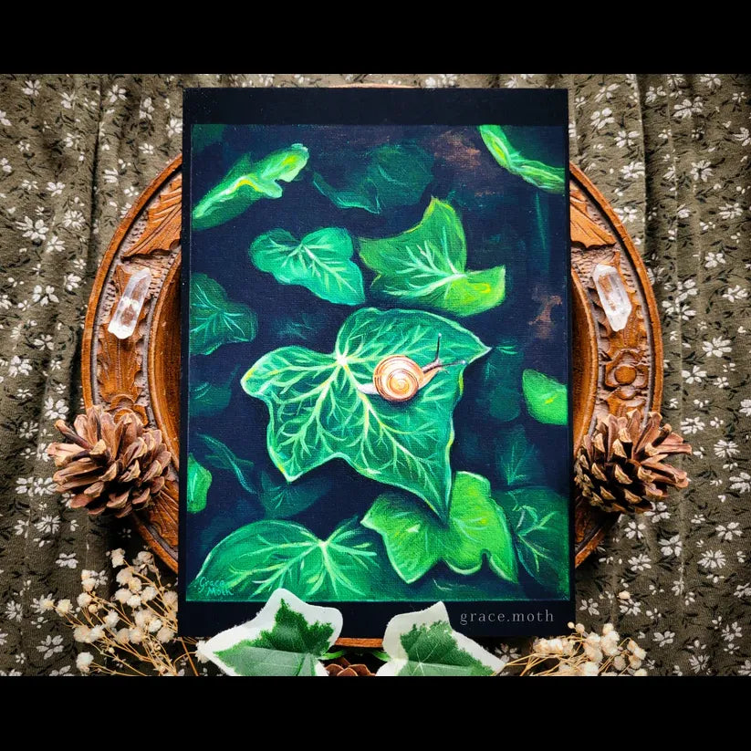 Snail on Ivy Leaf - A5 Art Print
