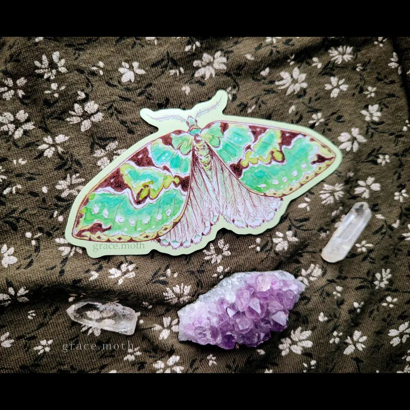 Green Carpet Moth - Vinyl Sticker