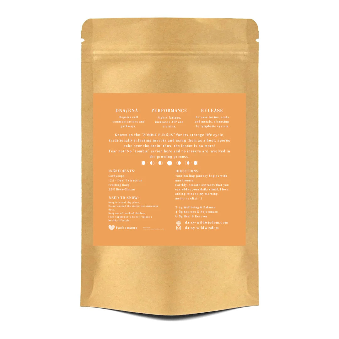 CORDYCEPS - Cordyceps Militaris