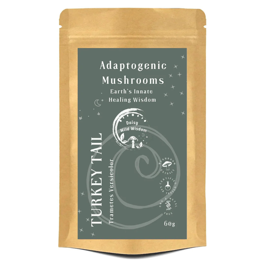 TURKEY TAIL - Trametes Versicolor