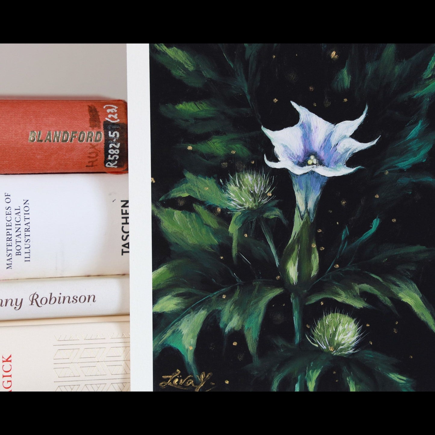 Artist Liva - Jimsonweed Mini Print