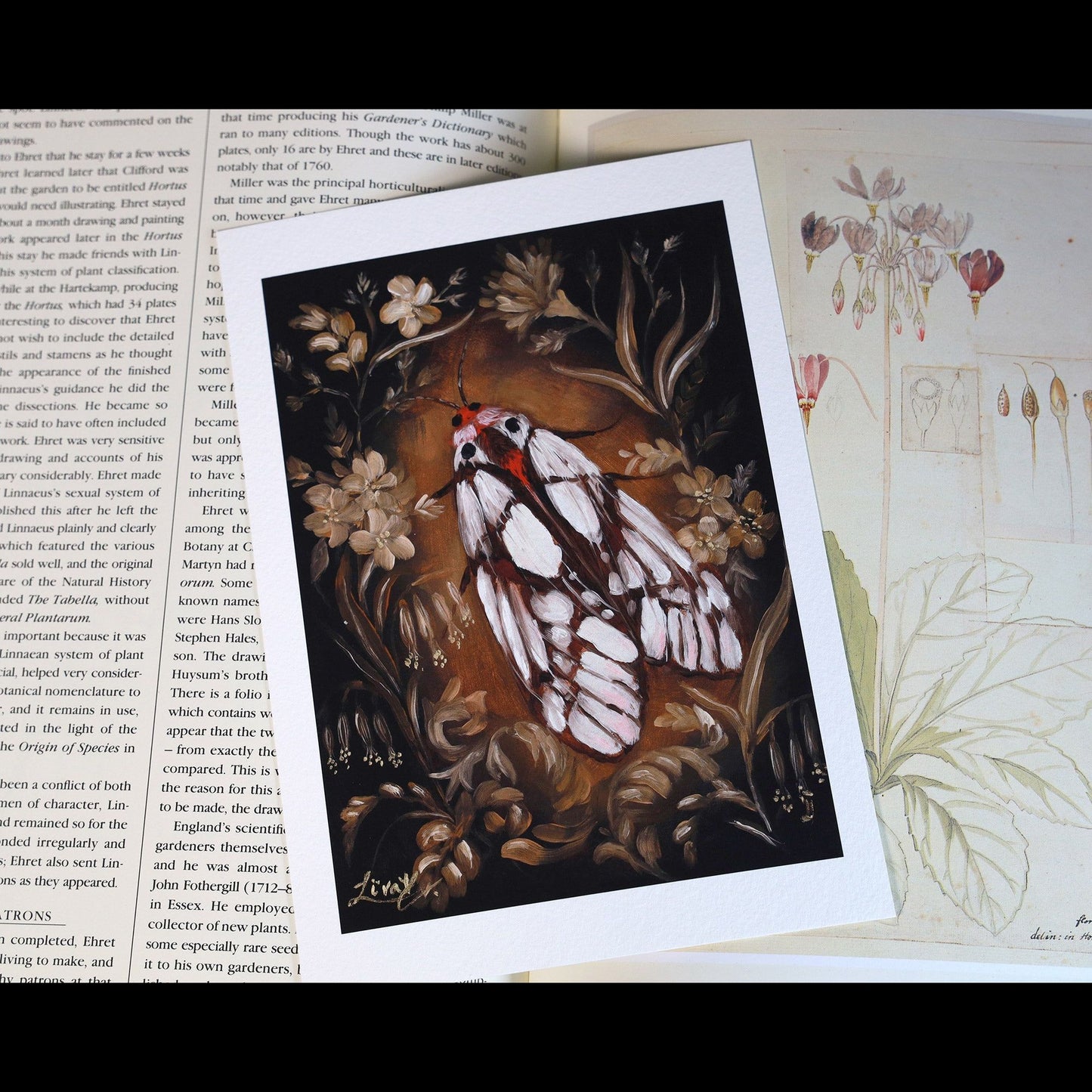 Artist Liva - Solace Mini Print