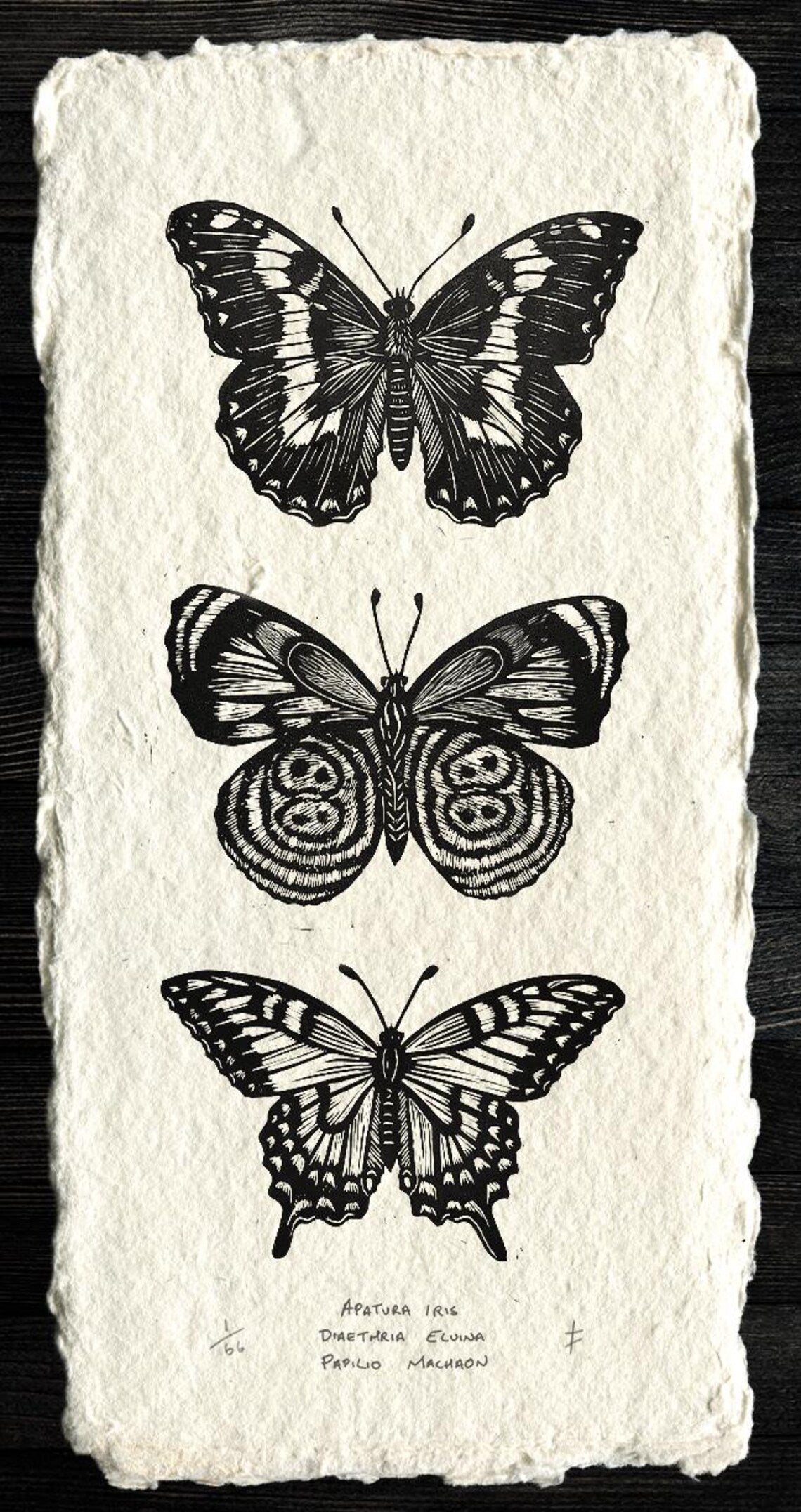 Butterfly Linocut Print: Limited Edition Original Art - Design 1