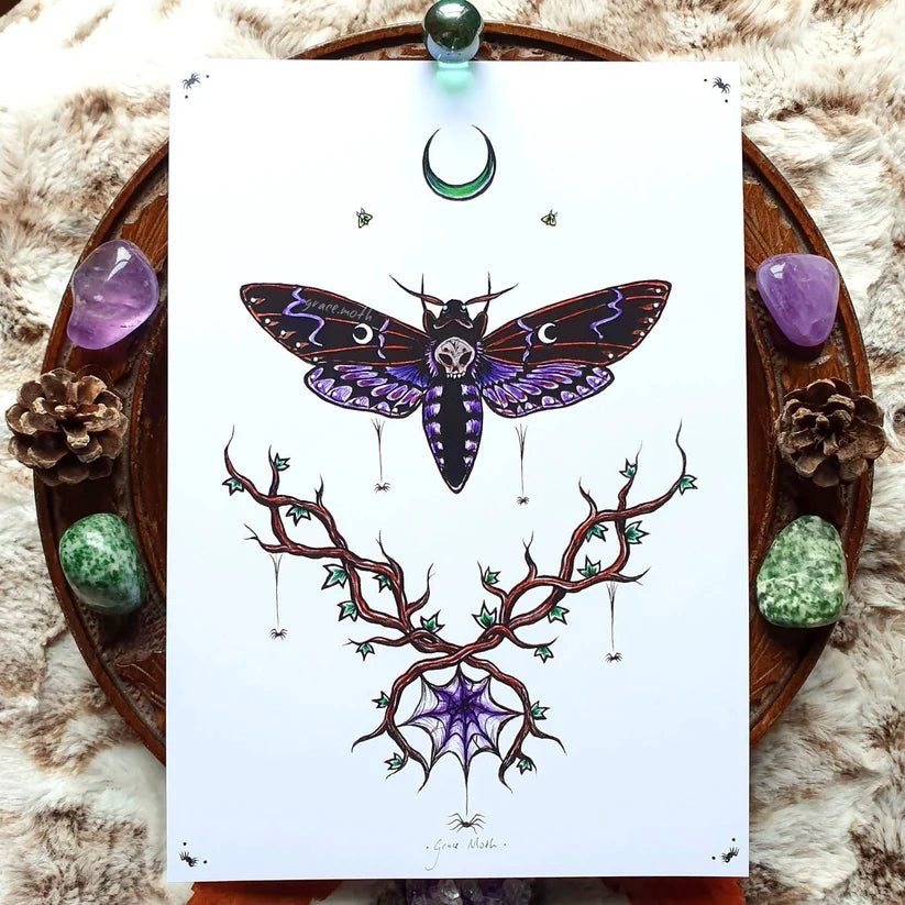 Death Head Hawk Moth - A5 Art Print