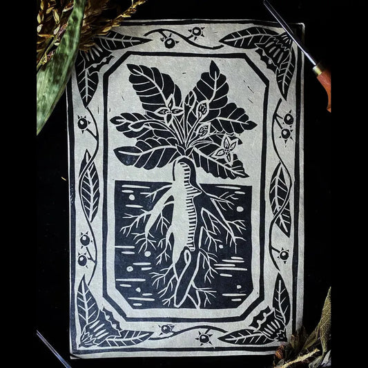 Mandrake & Deadly Nightshade Print