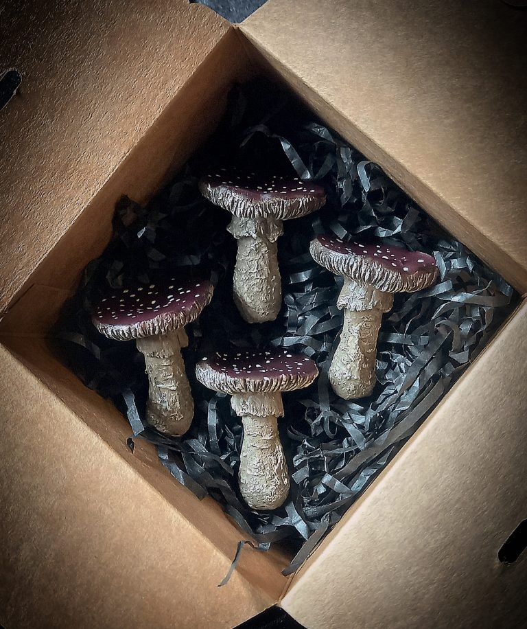 Woodland Toadstool Wax Melts