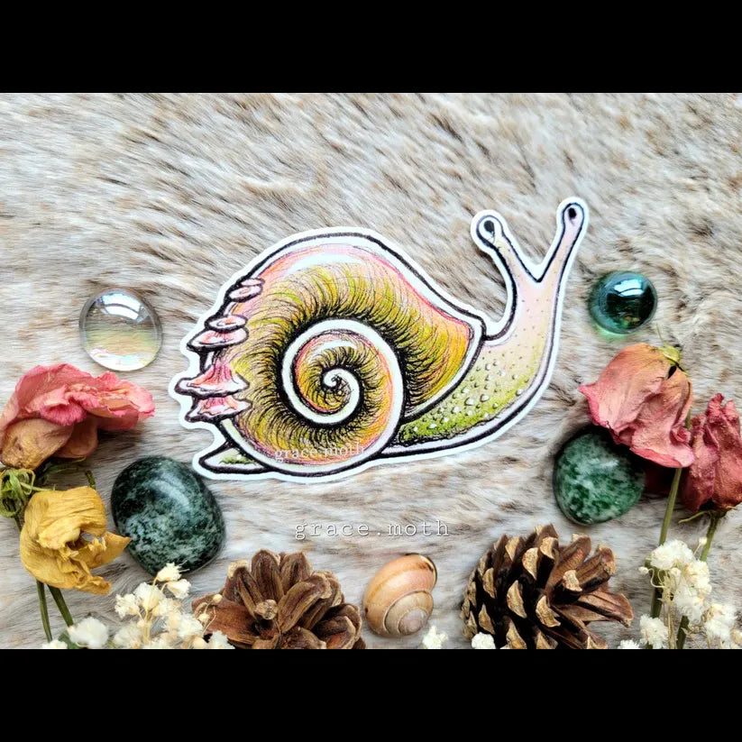 Cute Snail - Vinyl Sticker