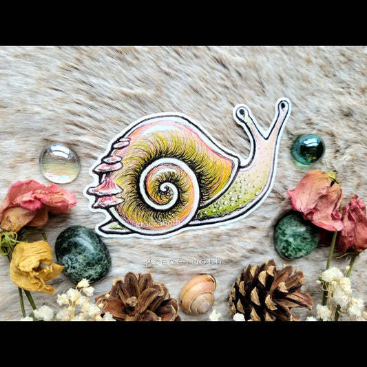 Cute Snail - Vinyl Sticker