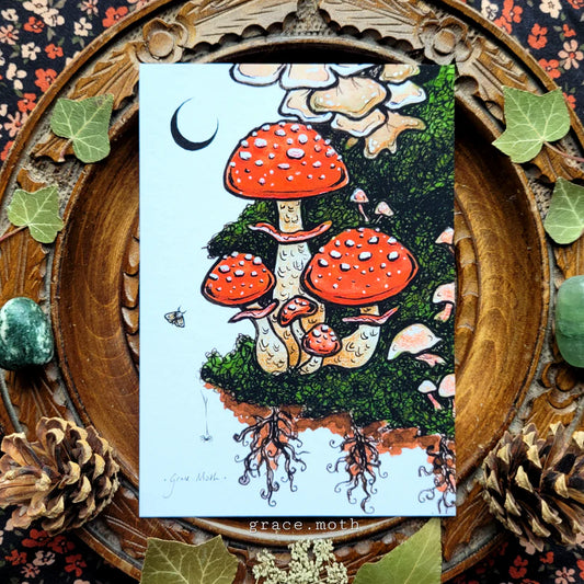 Toadstools - A6 Print