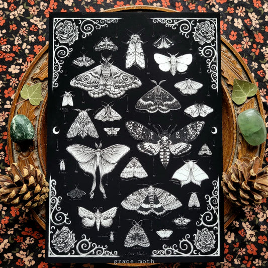 Black Moth Treasures - A5 Art Print