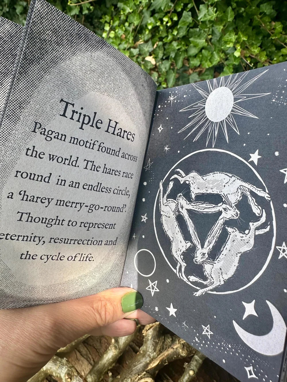 Woodlands Murmur Two, Folklore Folk Horror Zine