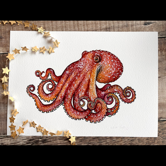 Curled Octopus Print