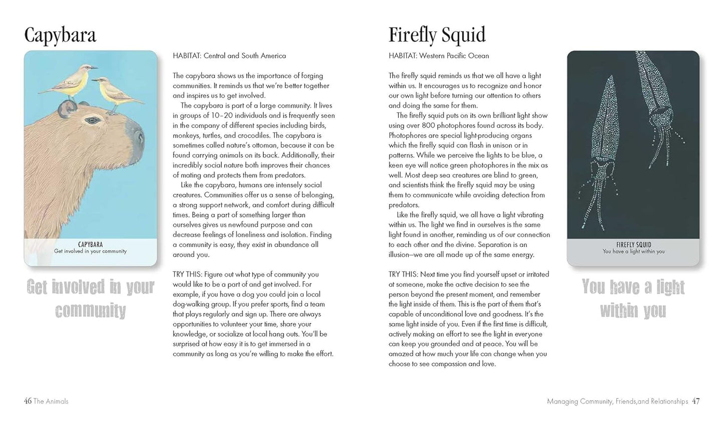 Unusual Animal Messages Oracle Deck: Includes 52 Cards & 64 Page Illustrated Book