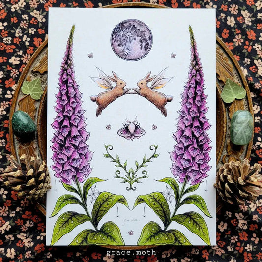 Rabbit Dance - Light Foxgloves