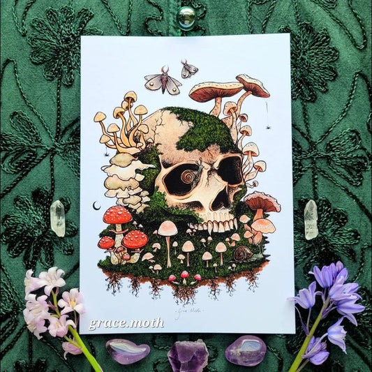 Here lies a fungi print