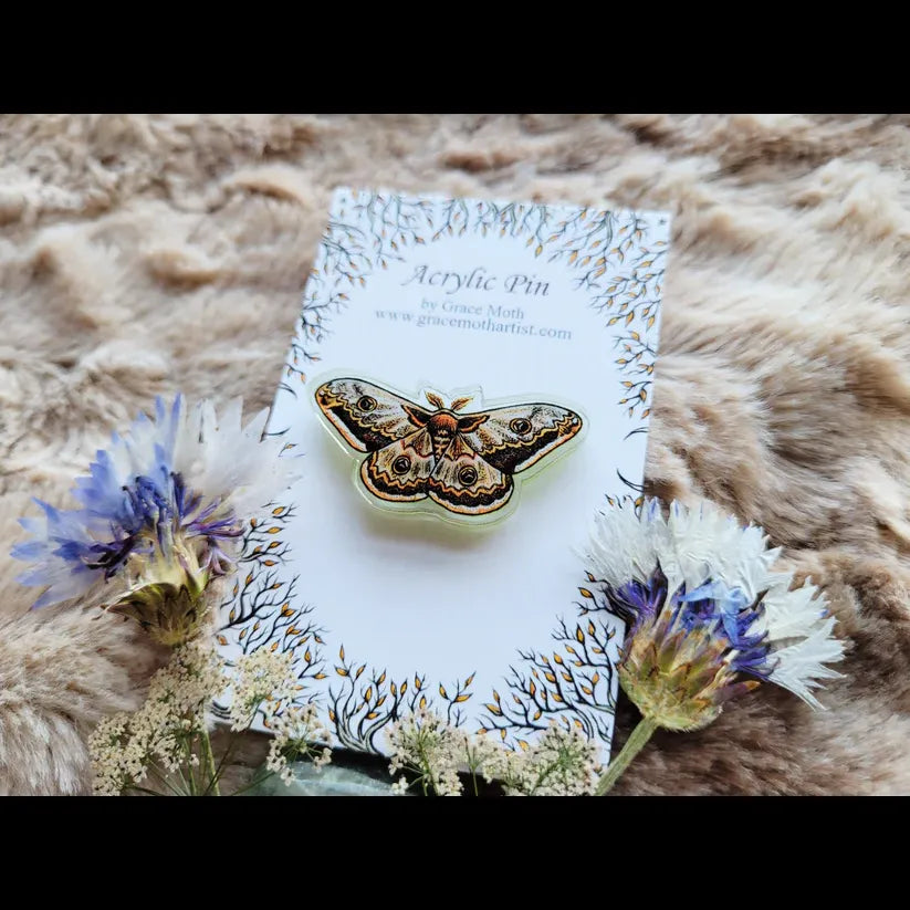 Emperor Moth Recycled Clear Acrylic Pin