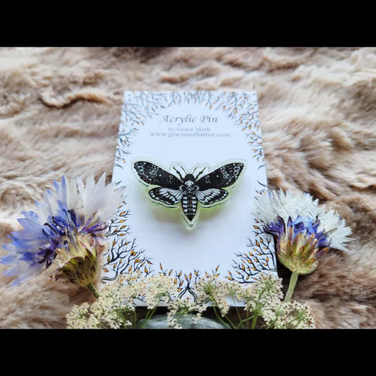 Death Head Hawk Moth Recycled Clear Acrylic Pin