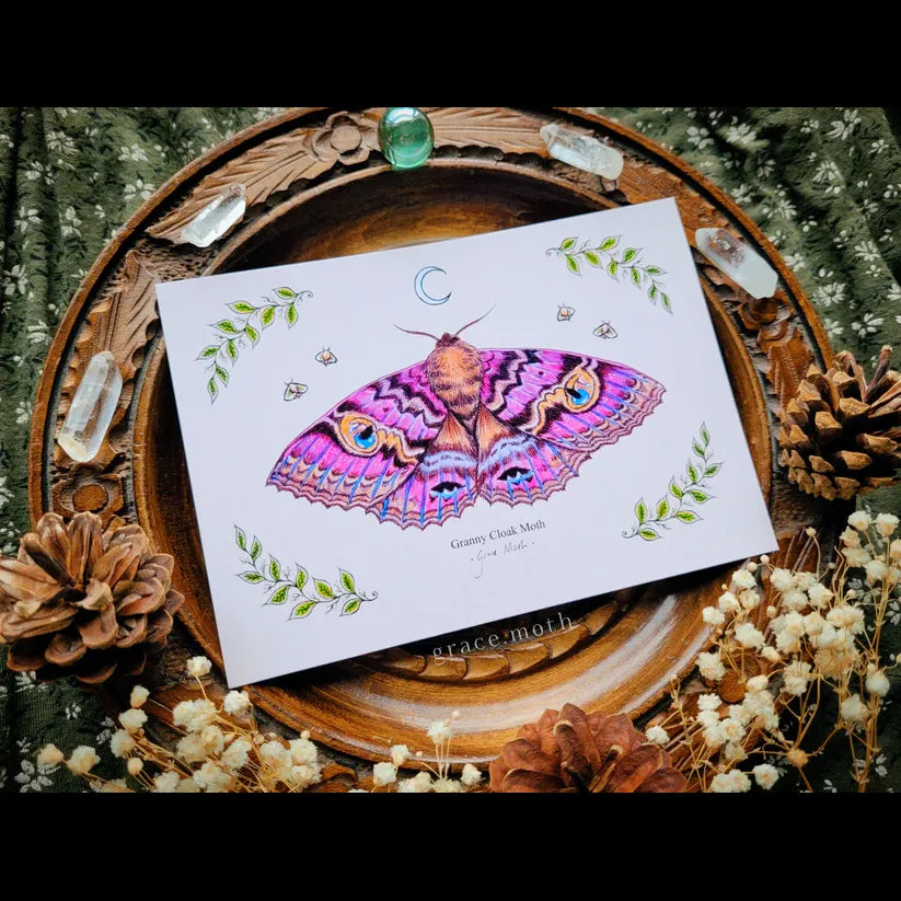 Granny Cloak Moth - A6 print