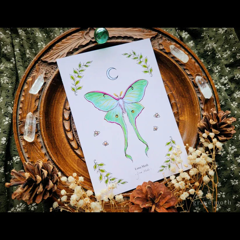 Luna Moth - A6 Print
