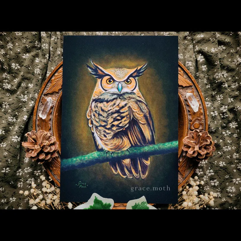 Great Horned Owl - A5 Art Print