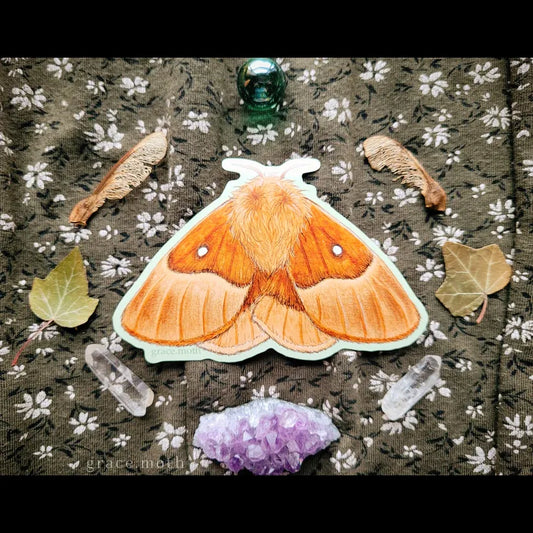 Oak Eggar Moth - Vinyl Sticker
