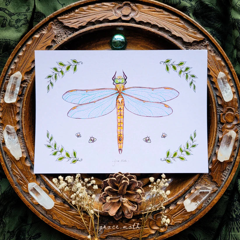 Dragonfly - A6 Print