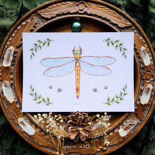 Dragonfly - A6 Print