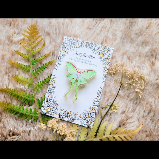 Luna Moth Recycled Clear Acrylic Pin