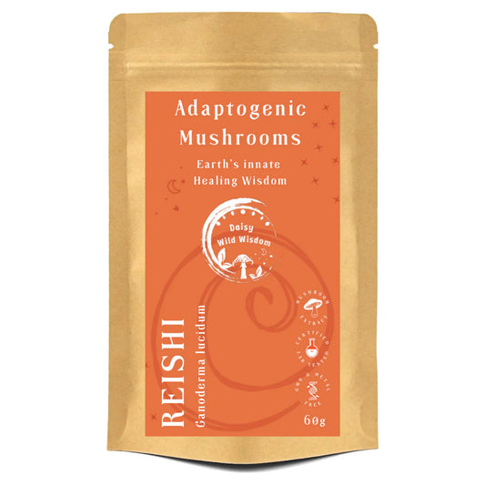 REISHI - Ganoderma Lucidum