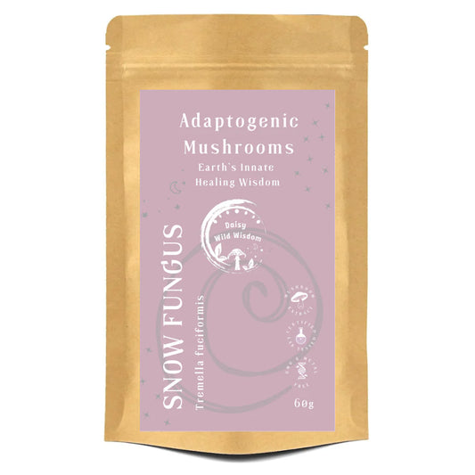 SNOW FUNGUS - Tremella Fuciformis