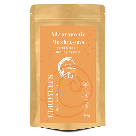 CORDYCEPS - Cordyceps Militaris