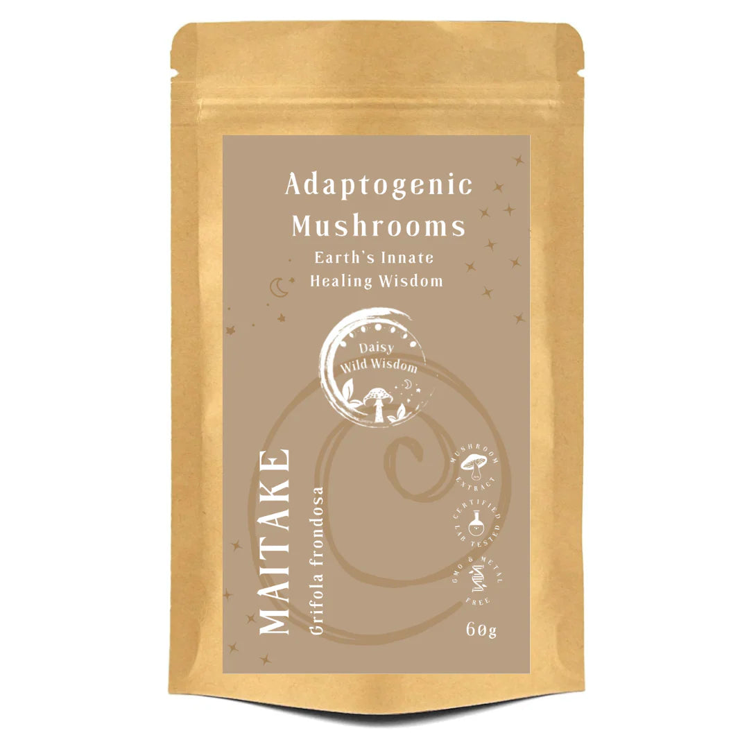 MAITAKE - Grifola Frondosa