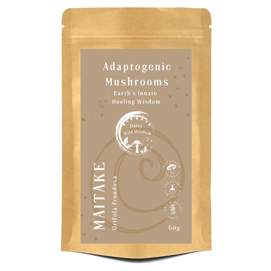 MAITAKE - Grifola Frondosa