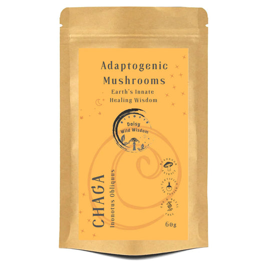 CHAGA - Inonotus Obliquus