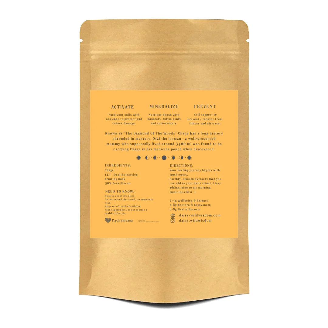 CHAGA - Inonotus Obliquus