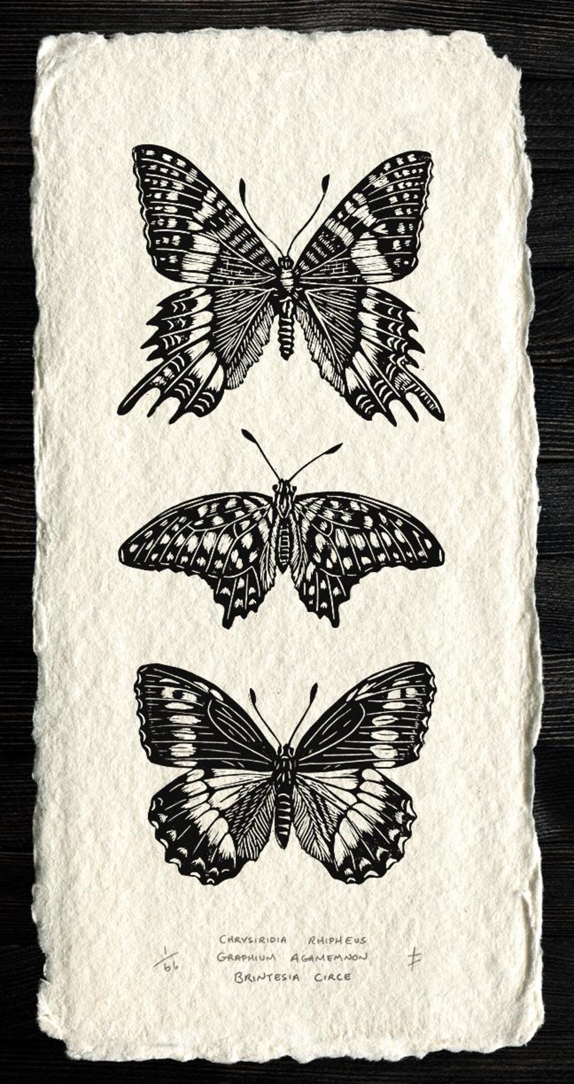 Butterfly Linocut Print: Limited Edition Original Art - Design 2