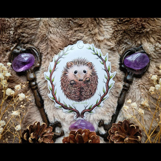 Cute Hedgehog - Vinyl Sticker